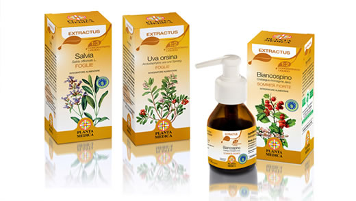 Linea Extractus